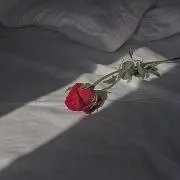 아미☺︎