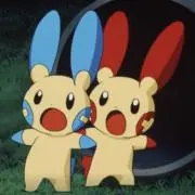 みみの画像