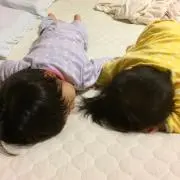 ピッピ助