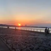 すぎ