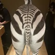garaxy2222の画像