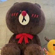 ミスターの画像