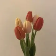 ひめ