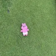 まる子の画像