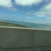 マチルダの画像