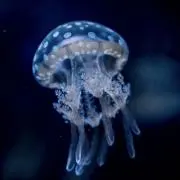 なこの画像