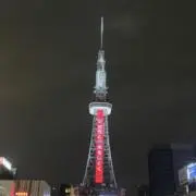 恐竜の画像