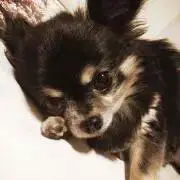 Ayaa♡