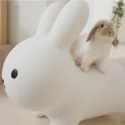 なつの画像