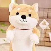 わん太