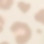るの画像