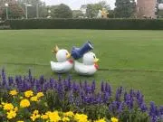 みかん（プロフ一読お願いいたします）の画像