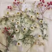 モカ【無言購入ＯＫ】プロフ必読の画像