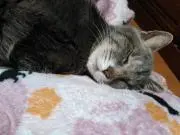 プーさん