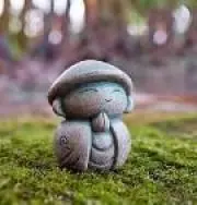 自分で作る盆栽キット】糸魚川真柏 迫力のねじれ幹 ジン・シャリ作成