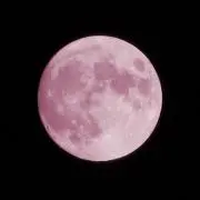チーの画像