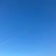 シャララの画像