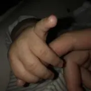 くままままの画像