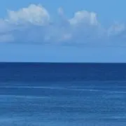 ぬちの画像