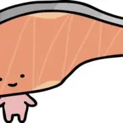 キリミの画像