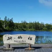 メルユメの画像