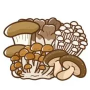 椎茸あきこの画像