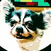 73 RONDO BASEの画像
