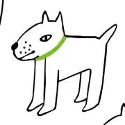 アイビー