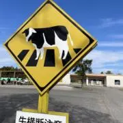 Aaa
