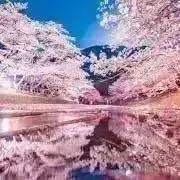 ありもこ＊