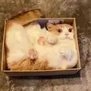 なべ