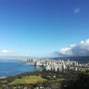 taの画像