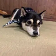めるの画像