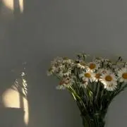 miiikiiiの画像