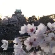 リア