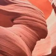 ぴの画像