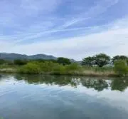タナカの画像