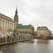グラジオラスの画像
