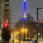 にゃ餅の画像
