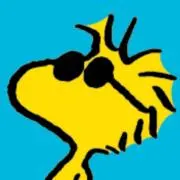 ひよこの画像
