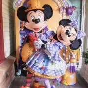 Mickey&mini〜  プロフ必読の画像
