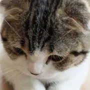 Mの画像