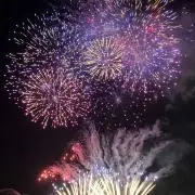 キチの画像