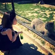 あみの画像