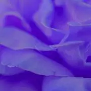 ひろむ