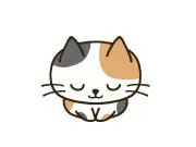 お客の画像