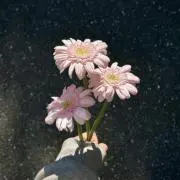 Grace グレイスの画像