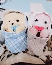もやし 即購入・無言購入⭕の画像