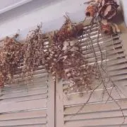 アンドの画像