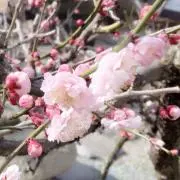 M♡の画像